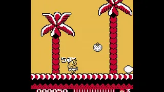 5. Adventure Island ( Game Boy ).