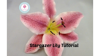 How to make a Sugar Stargazer Lily Step by Step Tutorial - Gumpaste Fondant