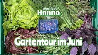 Gartentour im Juni | Gemüseanbau in Berlin | Hobbygärtnern