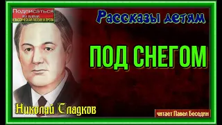 Под снегом —Николай Сладков —читает Павел Беседин