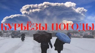 28 декабря погода в Сибири курьезы видео Из Новосибирска с любовью