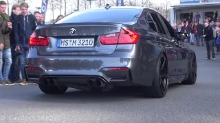 BMW M3 F80 w/ Alphamale Straight Pipes - REDLINDE Revs And Accelerations