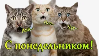 С Понедельником! Понедельник День Тяжёлый Музыкальная Открытка Прикольная!