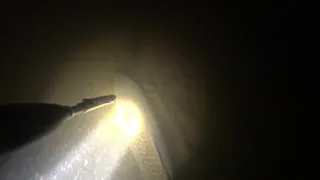 ночной сазан. подводная охота на маныче.