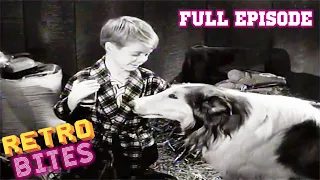 Lassie | Campout | Full Episodes