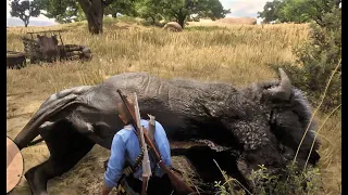 RDR2-Arthur Takes the Legendary Tatanka Bison Out of New Austin