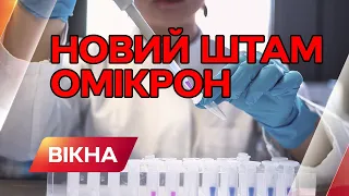 Новий штам ОМІКРОН шириться Європою: УСЕ, ЩО ВІДОМО ПРО НОВИЙ ШТАМ ОМІКРОН | Вікна-Новини