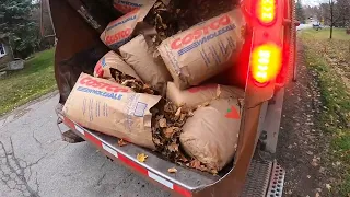 Yard Waste Late Fall III GoPro POV