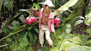 LIVING OFF GRID - Full Video culinary wild banana flower - solo bushcraft finding food in the forest