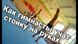 КАК ГИМНАСТЫ УЧАТ СТОЙКУ НА РУКАХ /СТОЙКА НА РУКАХ С НУЛЯ /СОВЕТЫ ОТ ТРЕНЕРА ПО ГИМНАСТИКЕ