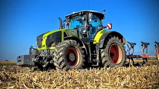 ✰ NOWY NABYTEK ✰ Claas Axion 930✔ czyli Orka po Kukurydzy ! Dźwięk 🔉