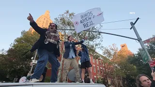 Birds Aren't Real Protest in Washington Square Park