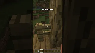 KOTY robią TO w MINECRAFT! - 4 FAKTY O KOTACH