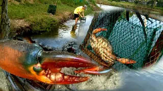 CATCHING MUD CRAB AT THE LAST FRONTIER OF THE PHILIPPINES| catching crabs using crab pot