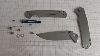 Ruike P801-SF disassembly