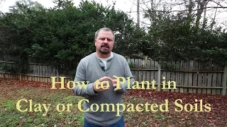 How to Plant in Clay or Compacted Soils (Short Version)