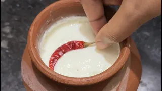 15 मिनेट में दही जमाने का आसान तरीक़ा -dahi ko 15 minute main jamane ka sahi tarika new kitchen tips