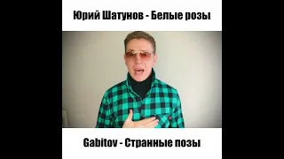 Gabitov - Странные позы | Юрий Шатунов - Белые розы (кавер)