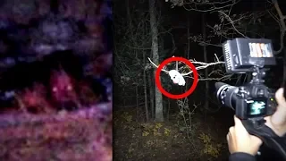 5 Scary Forest Encounters YouTubers Caught on Tape