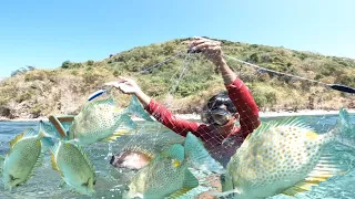 Hindi parin kami nabigo | netfishing | catch & cook | Bryan Fishing Tv