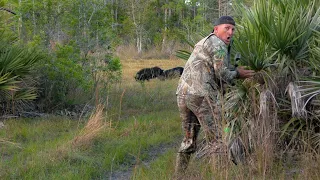 Razorback Boar "Spot n' Stalk" 2 Hunts / 1 Video {Catch Clean Cook} Grilled Whole!
