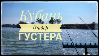 Отличная Густера на фидер на реке Кубань /// Пивной Набор №12