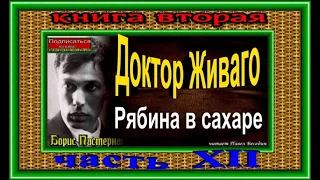 Доктор Живаго ,Борис Пастернак , Рябина в сахаре , читает Павел Беседин