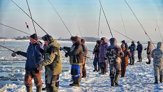 РЫБА ПОШЛА и ТОЛПА ПРИШЛА! СИГИ, ЛЕНКИ, ХАРИУСЫ! ЗИМНЯЯ ЭКСТРИМ РЫБАЛКА В СИБИРИ