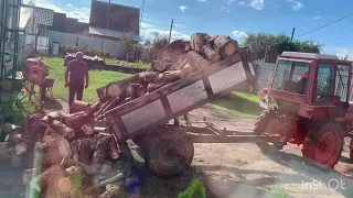 Трактор выгружает дрова