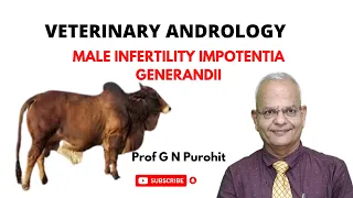 Infertility in male animals Impotentia Generandi-II I Veterinary Andrology I VGO Unit 3 I GNP Sir