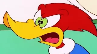 Woody Woodpecker Show | Lap It Up | 1 Hour Compilation | Cartoons For Children