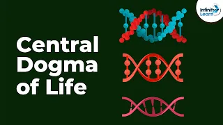 Genetics - Central Dogma of Life - Lesson 17 | Don't Memorise