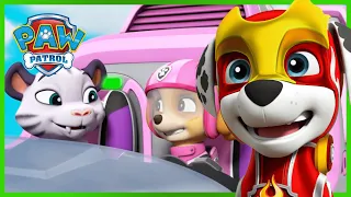 Pups rescue Tracker and the Monkeys in the Jungle! - PAW Patrol - Cartoons for Kids Compilation