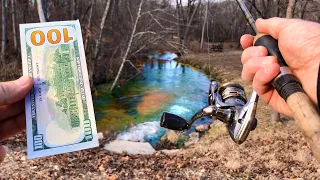 I PAID to Fish for a RARE NEW Species in this TINY CREEK!!!