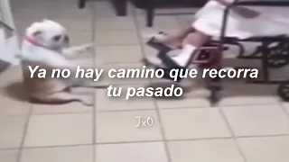 Perro bailando - Ya No Hay Camino Que Recorra Tu Pasado // Letra