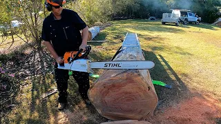 Massive tree meets Stihl MS881 Magnum