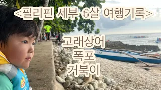 오슬롭고래상어,투말록,모알보알 투어(화면흔들림많음)현실각..