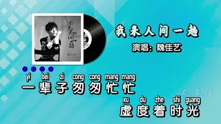 魏佳艺 - 我来人间一趟 KTV 导唱字幕 （备有伴奏视频）+ PinYin