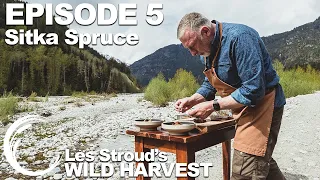 Wild Harvest | Season 2 | Episode 5 | Sitka Spruce