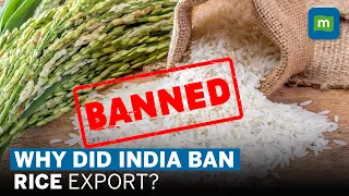 Rice Export Ban: Why Did India Do It? Will It Impact Inflation?
