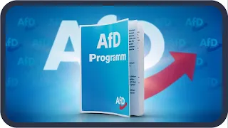 Das Wahlprogramm der AfD erklärt | Bundestagswahl 2021