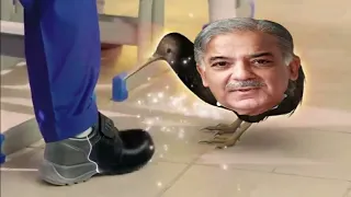 kiwi shoe polish sab se achi Shahbaz Sharif meme