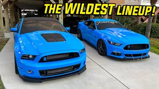 We MADE IT to Mustang Week 2021 and it's BETTER than Ever!! **DAY 1**