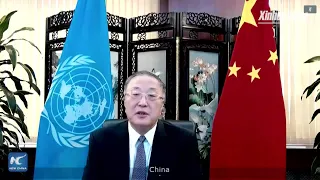 Chinese envoy warns against unilateralism in responses to COVID-19