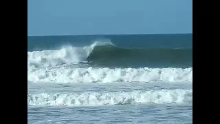 Whangamata Surf BIG!