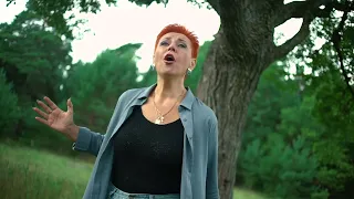 АННА КЛИМЕНЦОВА  -  НАС  БЬЮТ  -  МЫ  ЛЕТАЕМ