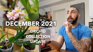 December 2021 Orchid Collection Update