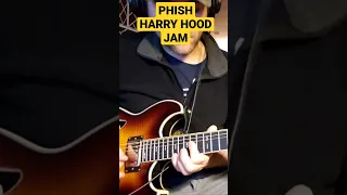 Harry Hood ~ Phish ~ Hampton Jam