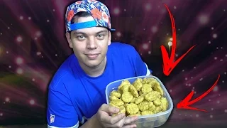 100 NUGGETS !  ‹ PORTUGAPC ›