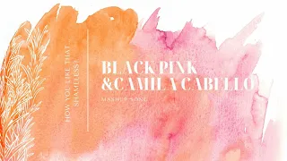 BlackPink & CamilaCabello- HOW YOU LIKE THAT X SHAMELESS MashUp MisaWAR